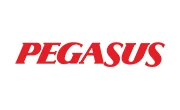 Pegasus Airlines